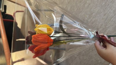 Tulipe